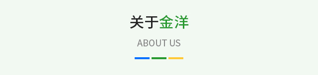 关于金洋